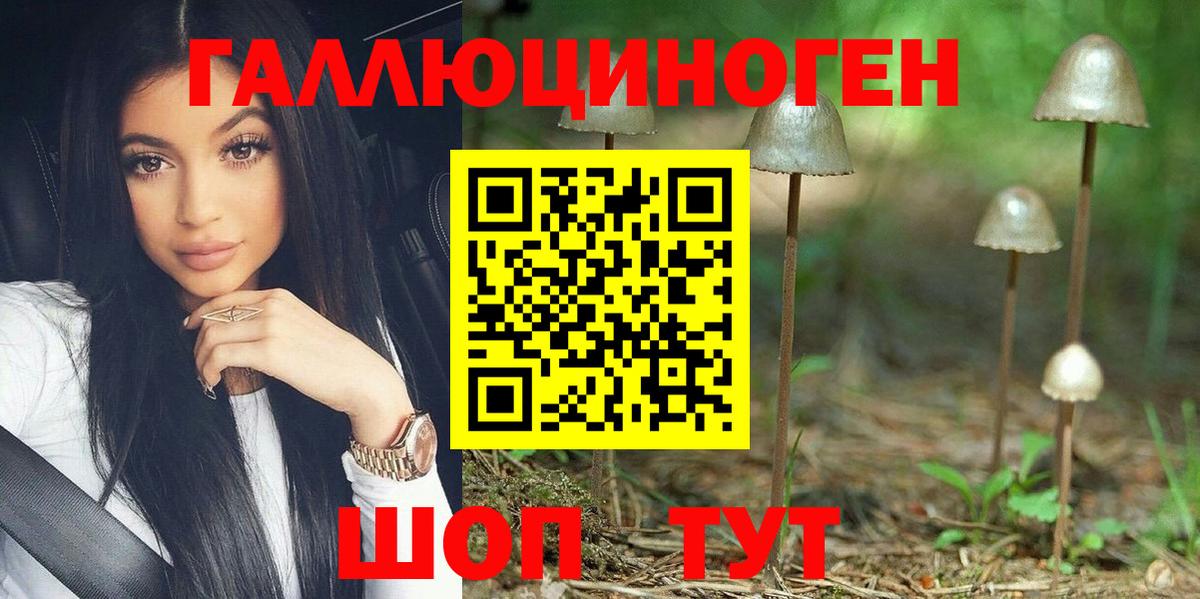 Галлюциногенные грибы MAGIC MUSHROOMS  Псилоцибиновые грибы Psilocybe  Малгобек  Вход с VPN 
